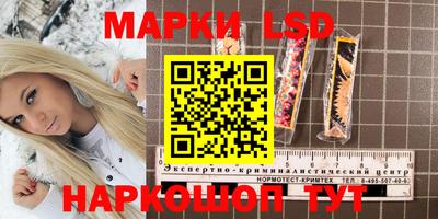 Альфа ПВП Берёзовский