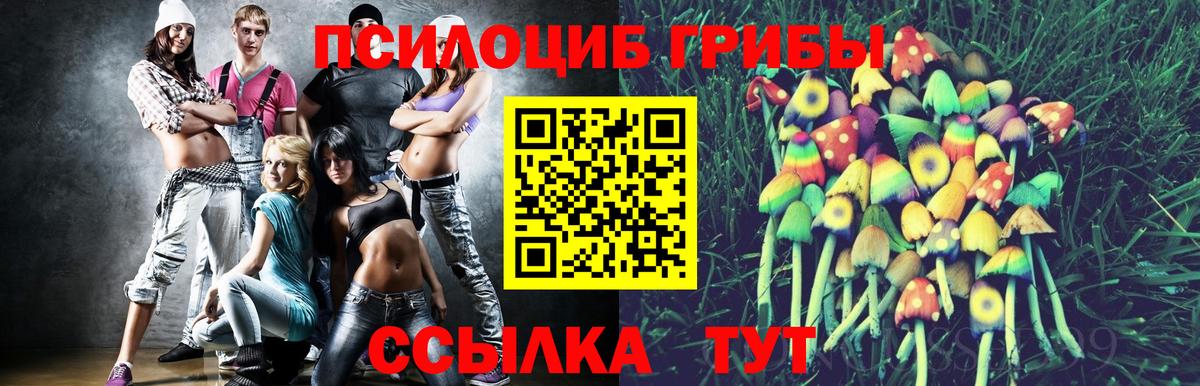 Псилоцибиновые грибы мицелий Калининград