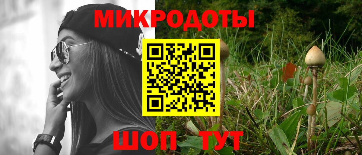 Калининград  Псилоцибиновые грибы мухоморы  Псилоцибиновые грибы прущие грибы  Вход с VPN 